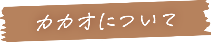 カカオについて